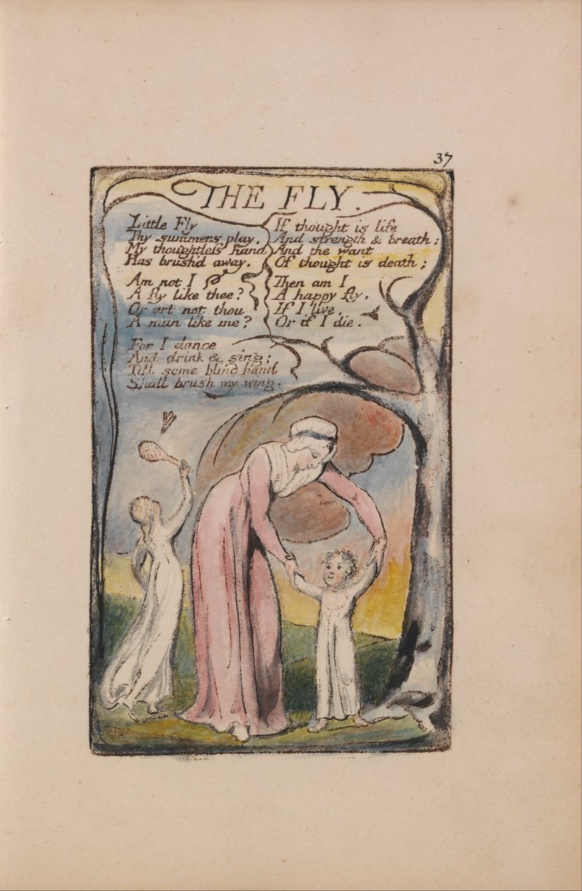 Az ártatlanság és a tapasztalat dalai, 37. lemez, A légy (Bentley 40) alkotó: William Blake