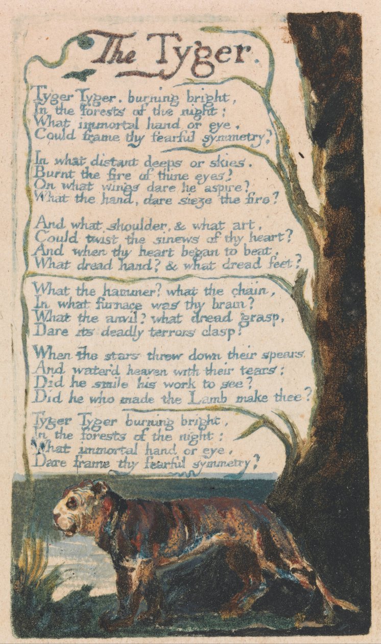 Az ártatlanság és a tapasztalat dalai, Plate 42, The Tyger (Bentley 42) alkotó: William Blake