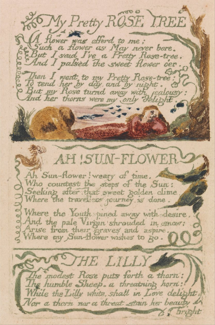 Songs of Inocence and of Experience, 47. lemez, My Pretty Rose Tree (Bentley 43) alkotó: William Blake