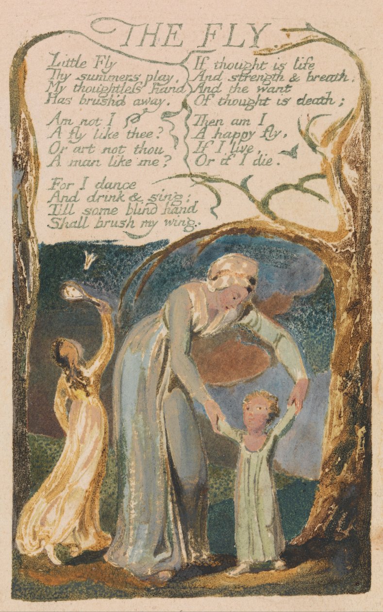 Az ártatlanság és a tapasztalat dalai, 48. lemez, A légy (Bentley 40) alkotó: William Blake