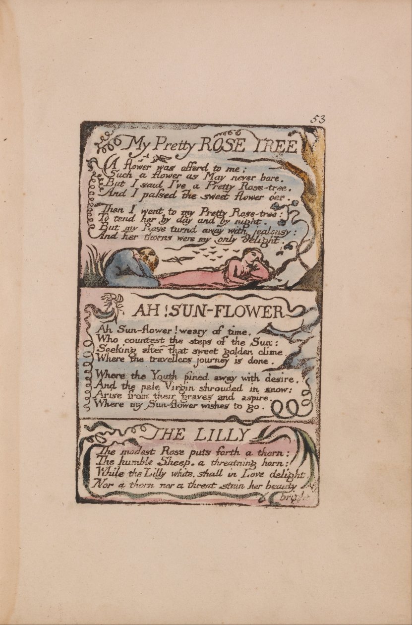 Az ártatlanság és a tapasztalat dalai, 53. lemez, Szép rózsafám, Ah! Napvirág, Lilly alkotó: William Blake