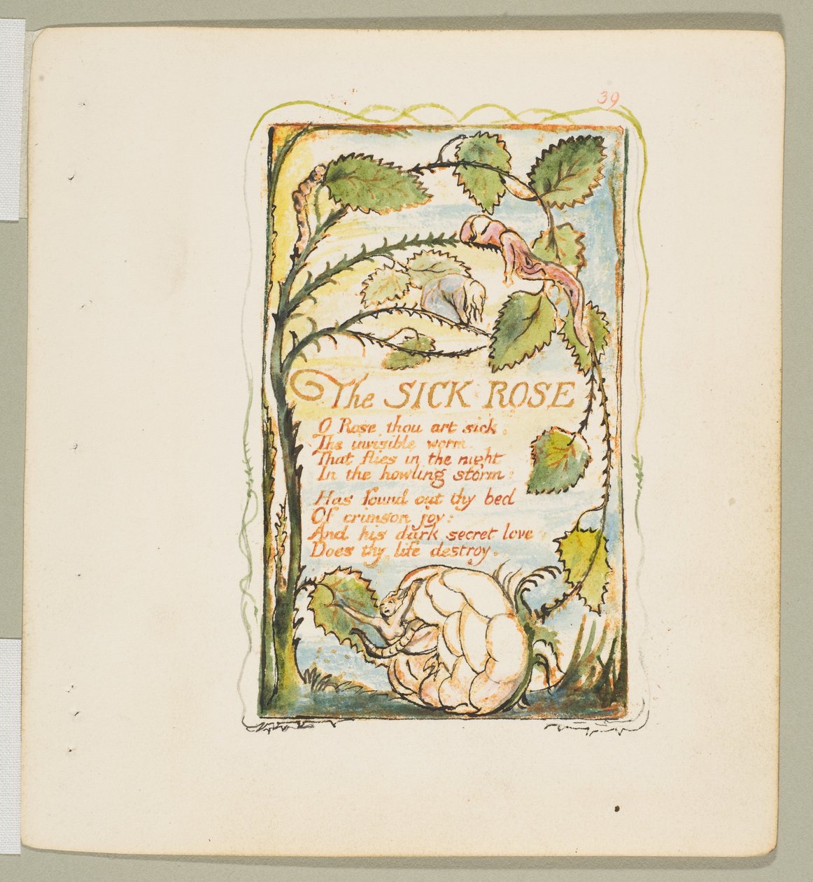 Az ártatlanság és az élmény dalai: A beteg rózsa, kb. 1825. alkotó: William Blake