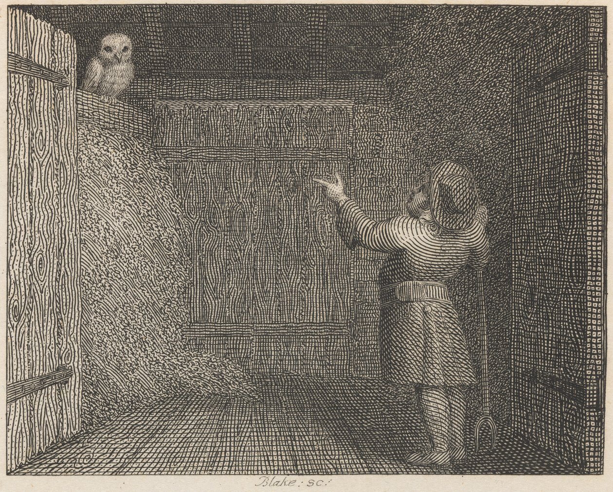 A bagoly és a gazda alkotó: William Blake