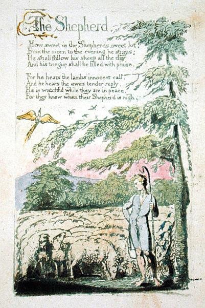A Pásztor, 4. tábla recto az Ártatlanság dalaiból alkotó: William Blake
