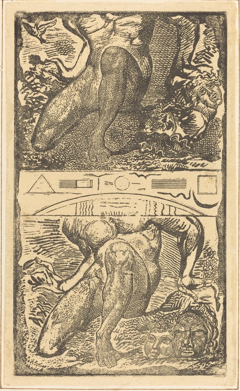 Ismeretlen téma (Hagyd, hogy felnéz az égbe, és nevessen a fényes levegőben) alkotó: William Blake