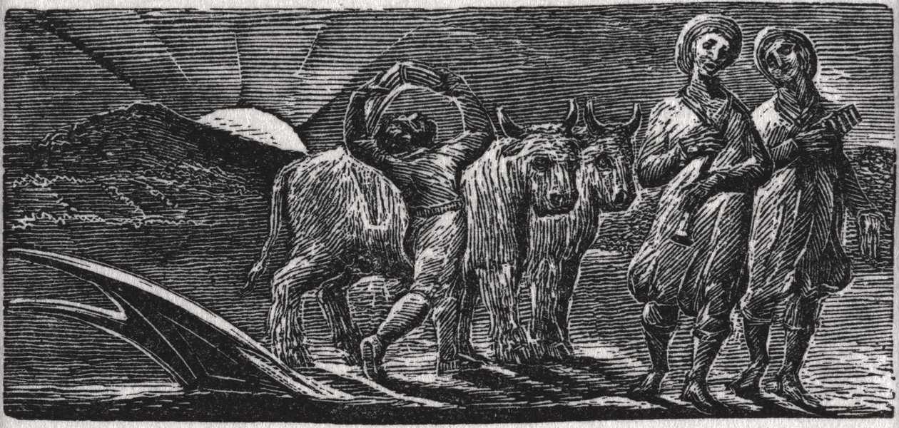 Dalokkal: A jókedvű hinduk visszatérnek a Plow-ból, illusztráció Dr. Thornton „Vergilius pásztorai” című művéből alkotó: William Blake