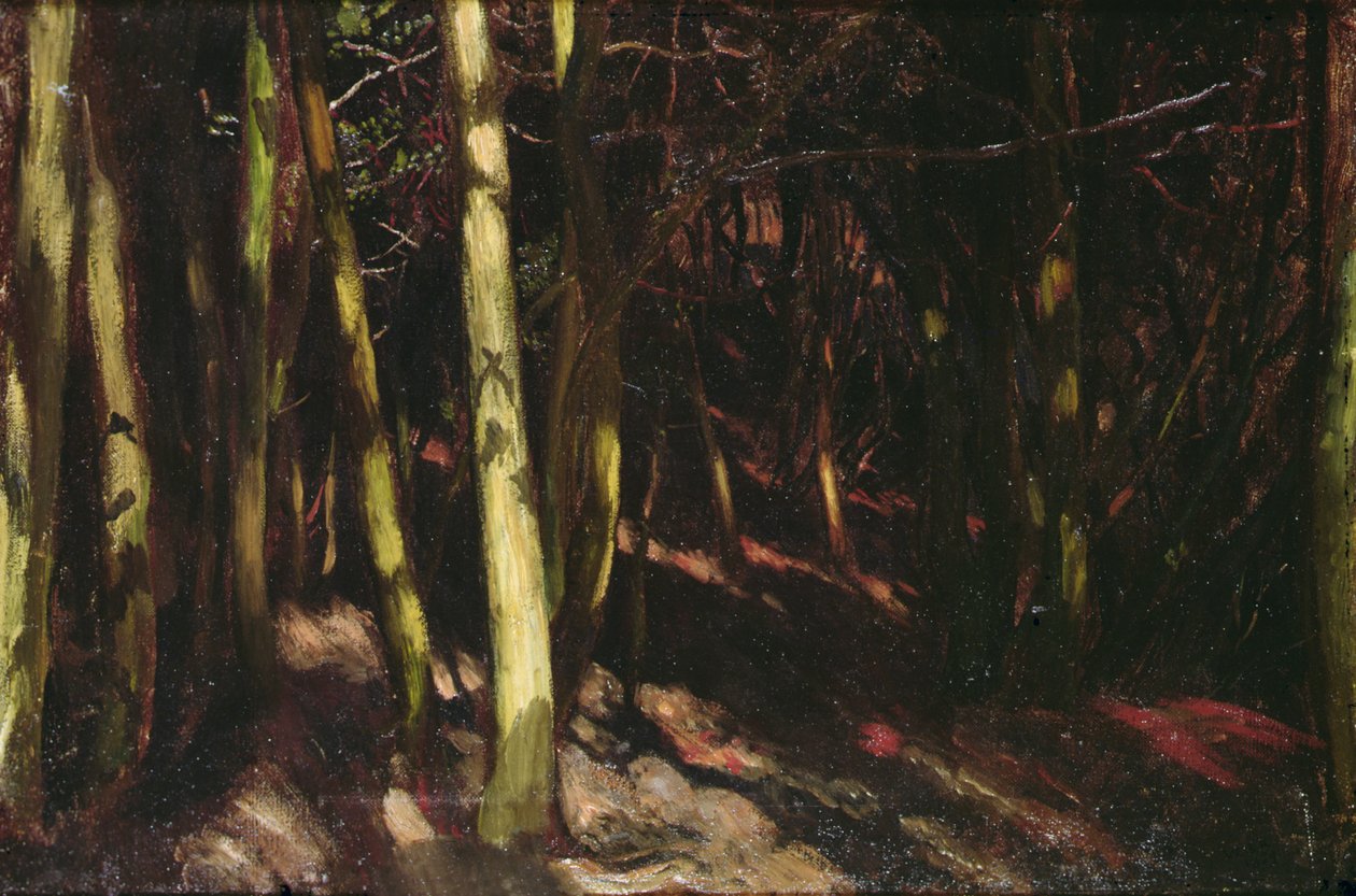 Fák, 1890 körül (olaj, fedélzeten) alkotó: William Blake Richmond