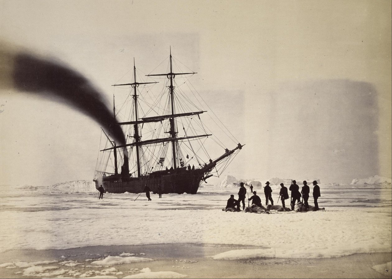 Vadászat Steam segítségével a Melville -öbölben alkotó: William Bradford