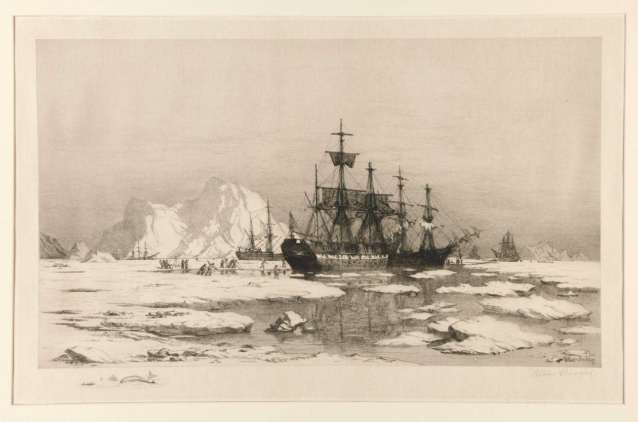 Pecsételők az Északi-sarkon, a festmény után: A jégtáblák között, 1875 alkotó: William Bradford