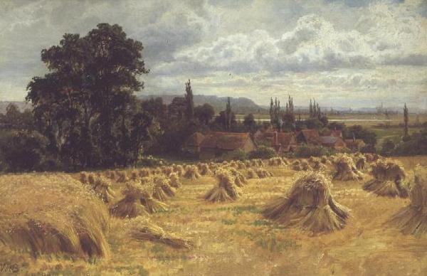 Kukoricatábla Cookham közelében (olaj) alkotó: William Bradley