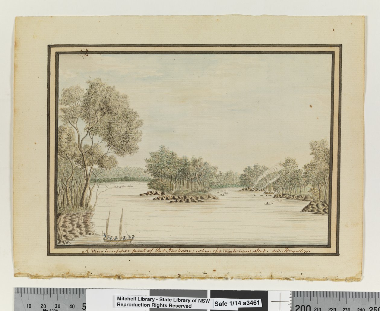 Opp. p. 120. `Kilátás Port Jackson felső részén; amikor a halat lelőtték.