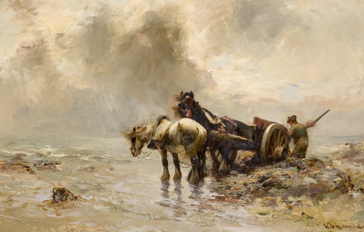Carting Seaweed (olaj, vászon) alkotó: William Bradley Lamond