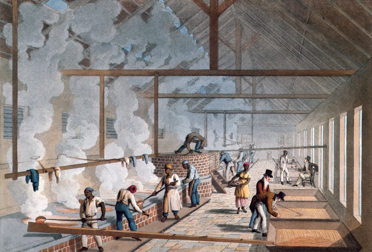- Egy cukorültetvényen lévő Boiling House belseje a „Tíz nézet Antigua szigetén, amelyben a cukorgyártás folyamata és a négerek alkalmazása” című filmben William Clark. 1823. alkotó: William Clark