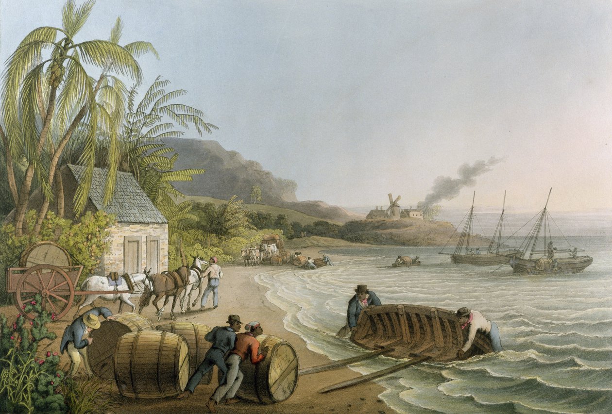 Carting and Putting Sugar Hogsheads on Board", X. tábla a "Ten Views in the Island of Antigua" című, W. Clark által kiadott, London, 1823 (színes akvatinta) című képből. alkotó: William Clark