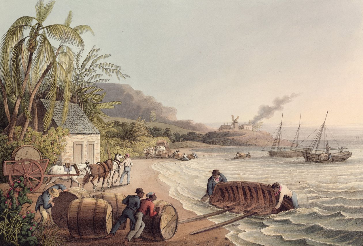 Hordó rum és cukor betöltése, Antigua alkotó: William Clark