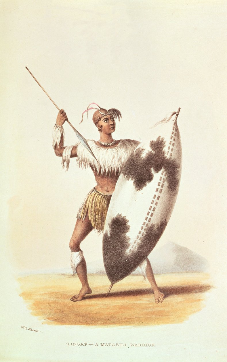 Lingap, egy Matabili Warrior, illusztráció a „Wild Sports of South Africa” című művéből, W.C. Harris, 1841 alkotó: William Cornwallis Harris