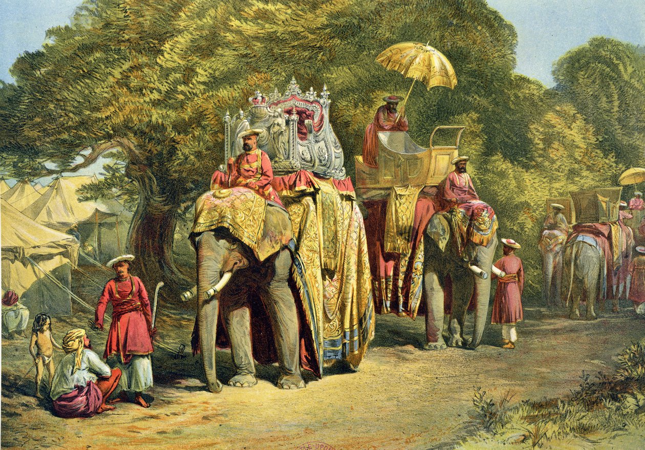 A főkormányzó állami Howdahja, 1863 (kromolito) alkotó: William Crimea Simpson