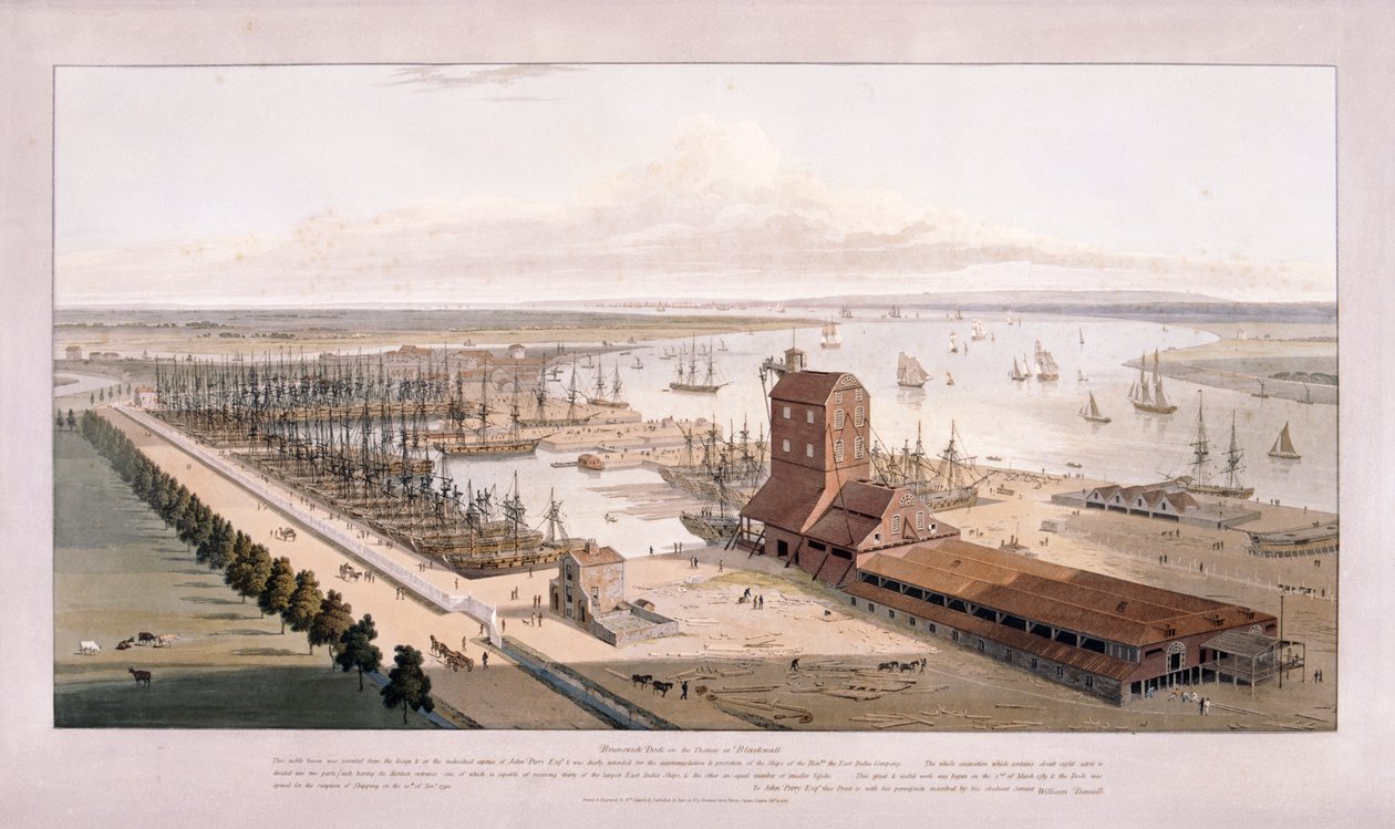 Brunswick Dock és East India Dock, Poplar, London, 1803 alkotó: William Daniell