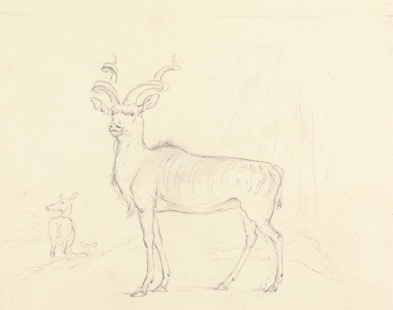 A Koodoo alkotó: William Daniell