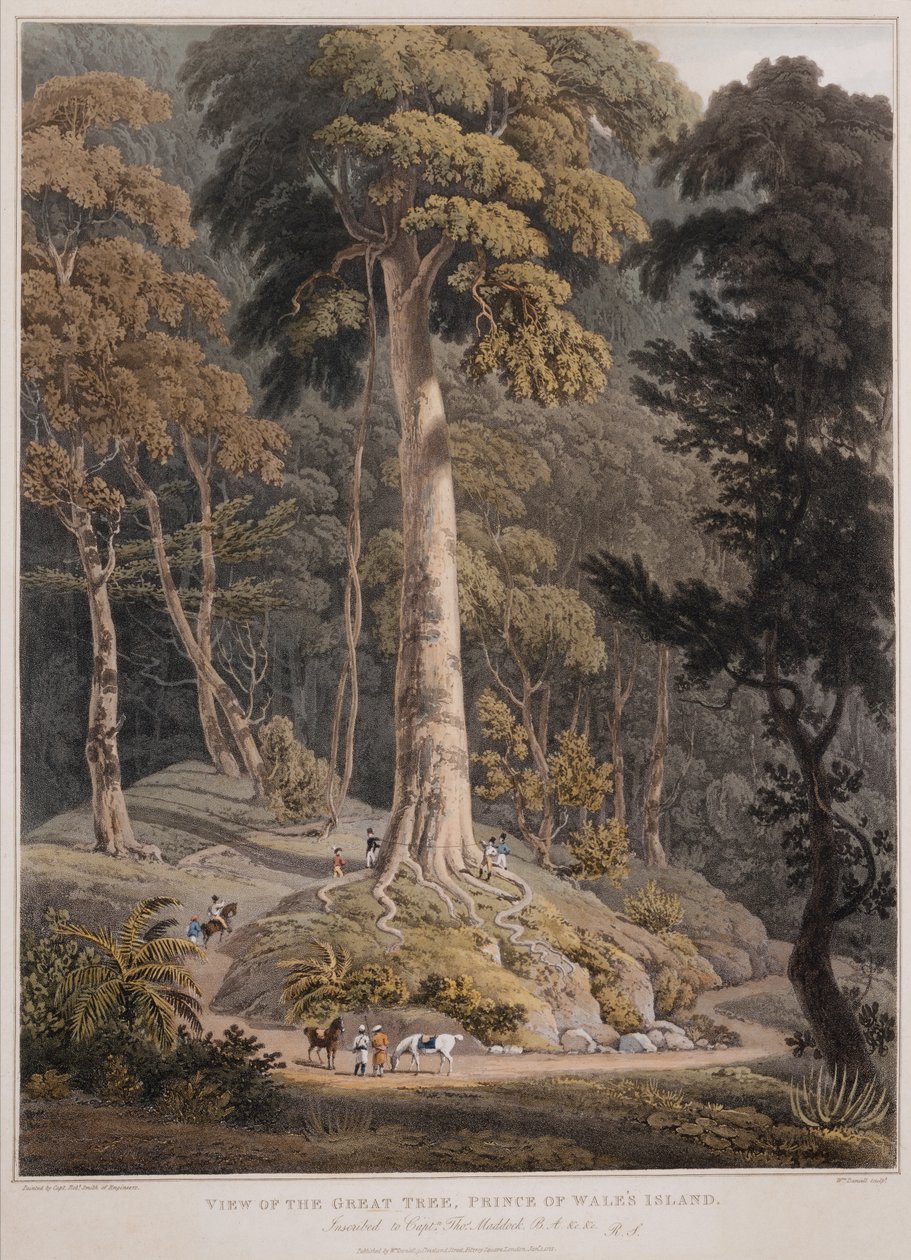 Kilátás a nagy fára, a walesi herceg szigetére alkotó: William Daniell