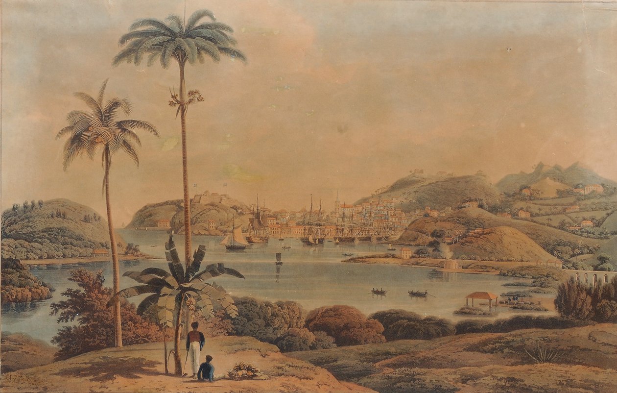 St. George és Richmond Heights városának kilátása Grenada szigetén, Wilson alezredes által az öbölből, 1819 alkotó: William Daniell