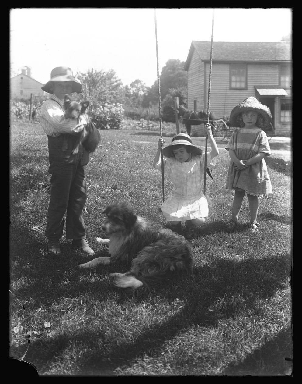 Gyermekek kutyával és kiskutyával egy kötélhinta köré gyűltek a McCready Farmon, Pennsylvaniában, 1913 körül alkotó: William Davis Hassler