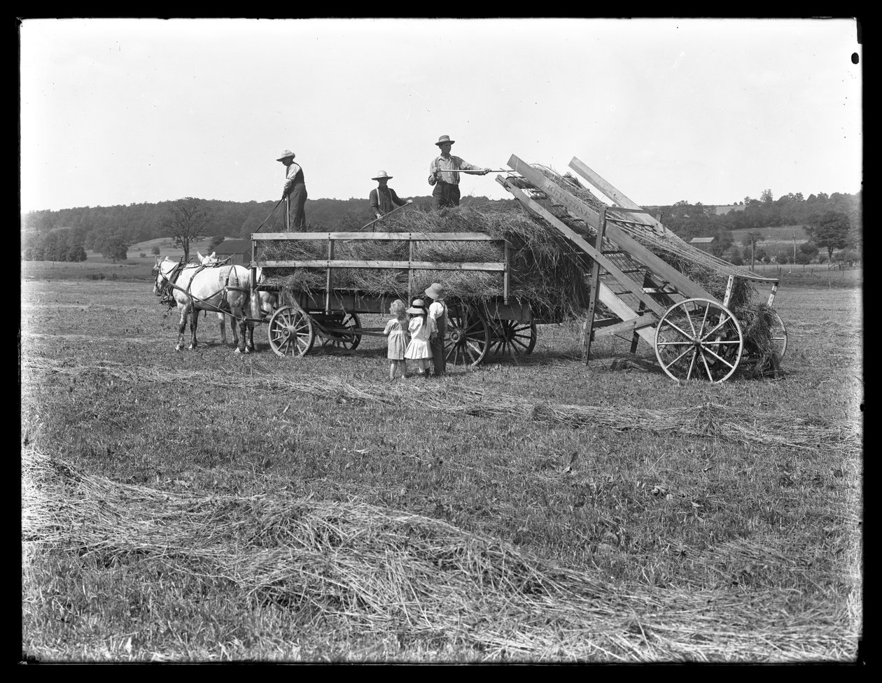 Mezőgazdasági dolgozók szénát raknak a lovas szénakocsira, miközben három gyerek nézi, McCready Farm, Crawford megye, Pennsylvania, 1913 körül alkotó: William Davis Hassler