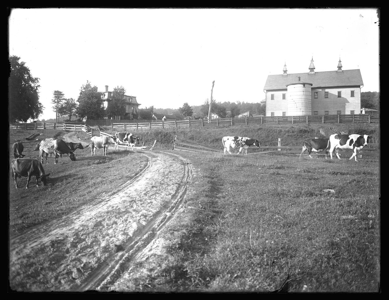 A McCready farm istállója és Thomas rezidenciája, Pennsylvania, 1913 körül alkotó: William Davis Hassler