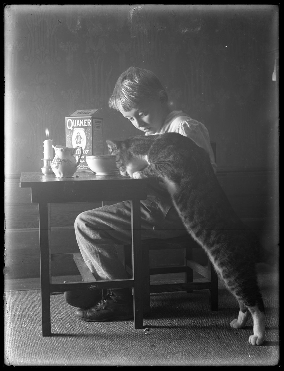 William Gray Hassler és Reddy, a macska, kvéker puffasztott rizspelyhet eszik, 1912 körül alkotó: William Davis Hassler