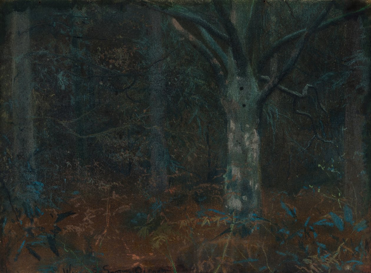 Öreg platán alkotó: William Edward Stott