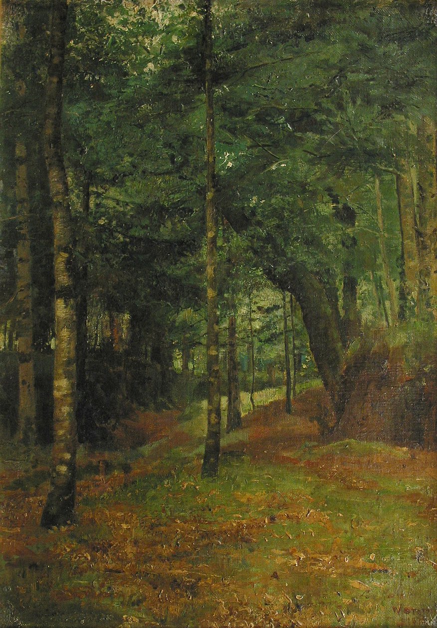 Tanulmány a fák közt besütő napról, Concarneau alkotó: William Edward Stott