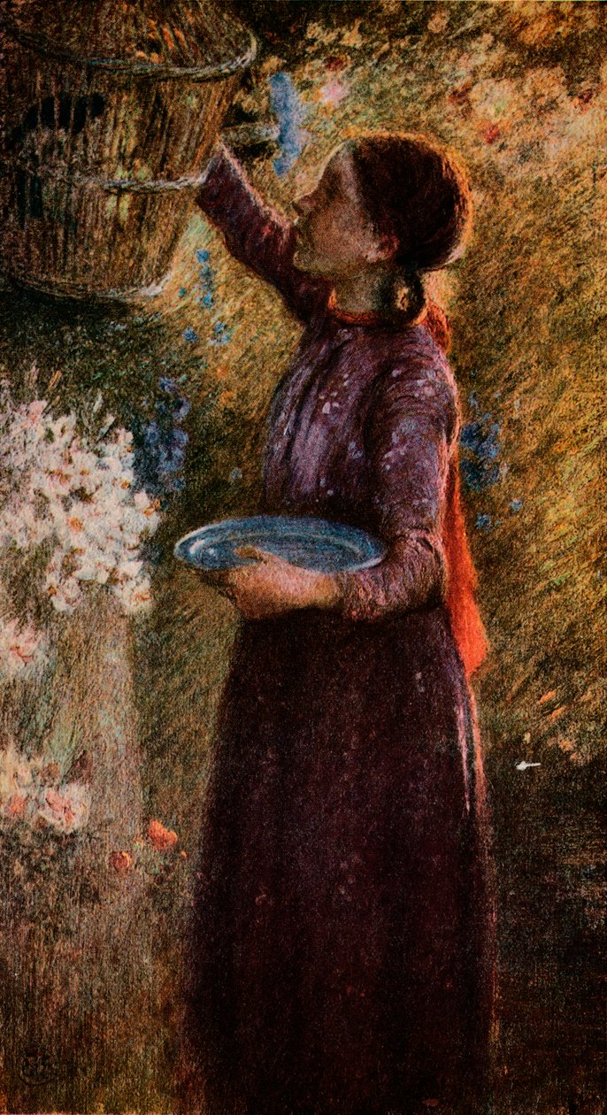A madárkalitka, 1900, 1918 alkotó: William Edward Stott