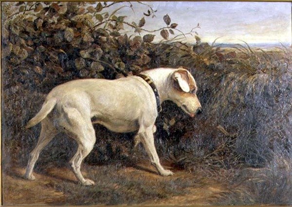 Terrier egy tájban alkotó: William Elsob Marshall