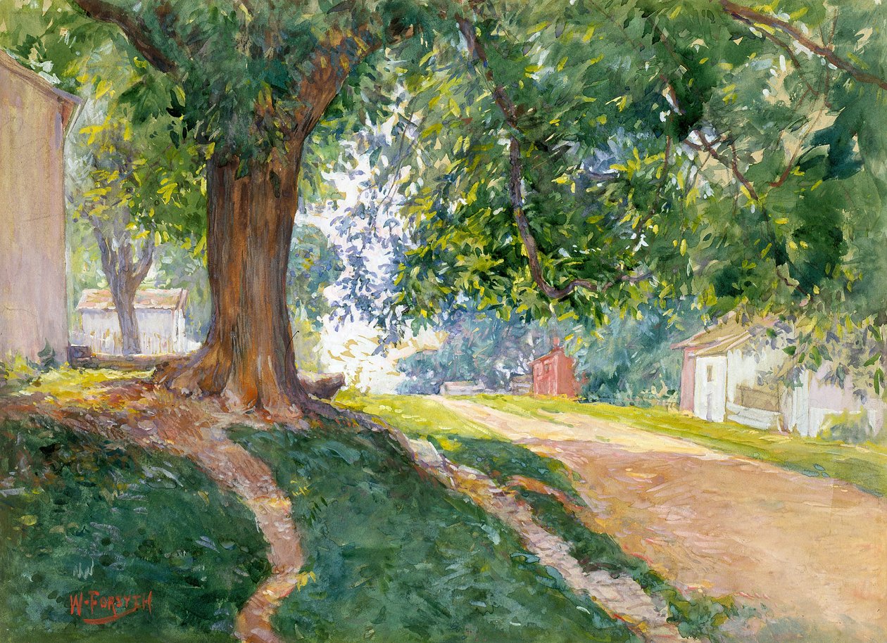 Az alkotmányos szil (akvarell és gouache, törtfehér papíron) alkotó: William Forsyth
