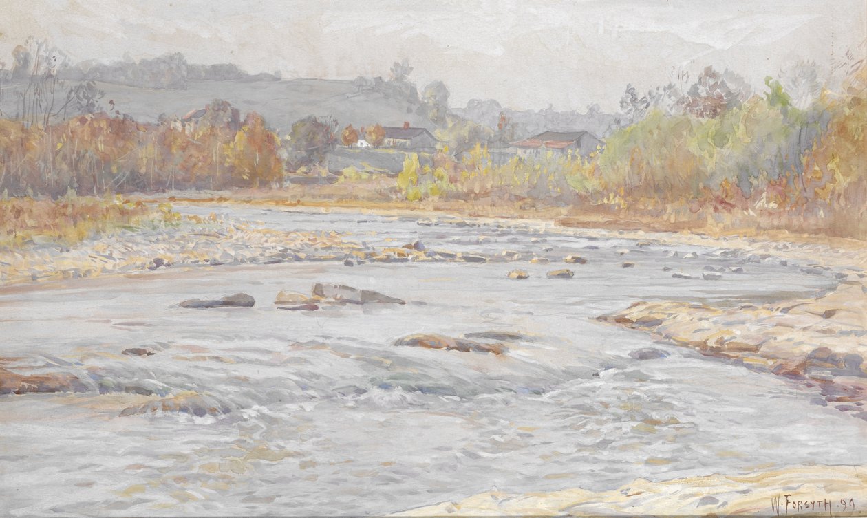 Whitewater Rapids alkotó: William Forsyth