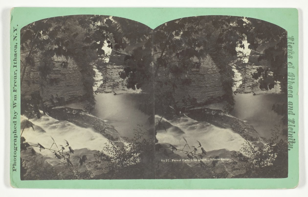 Forest Falls felülről, Ithaca Gorge, 19. század vége. alkotó: William Frear
