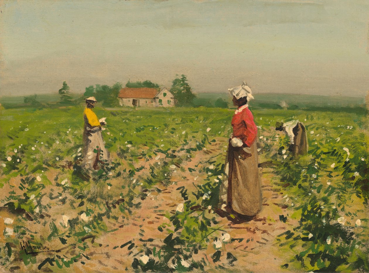 Pamut szedése, c. 1890. alkotó: William Gilbert Gaul