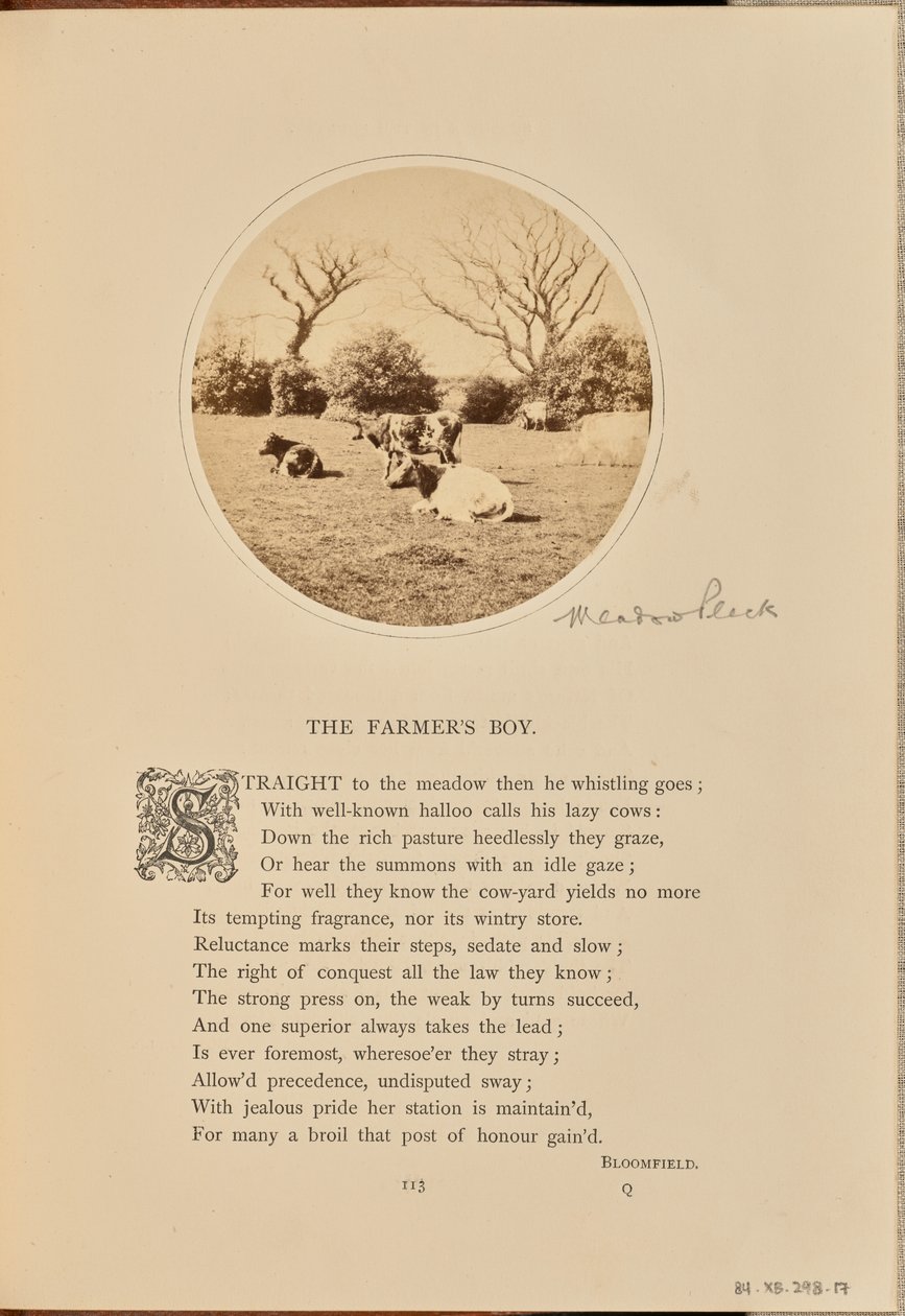 [Pásztorjelenet mezőn pihenő szarvasmarhákkal, Anglia] alkotó: William Grundy