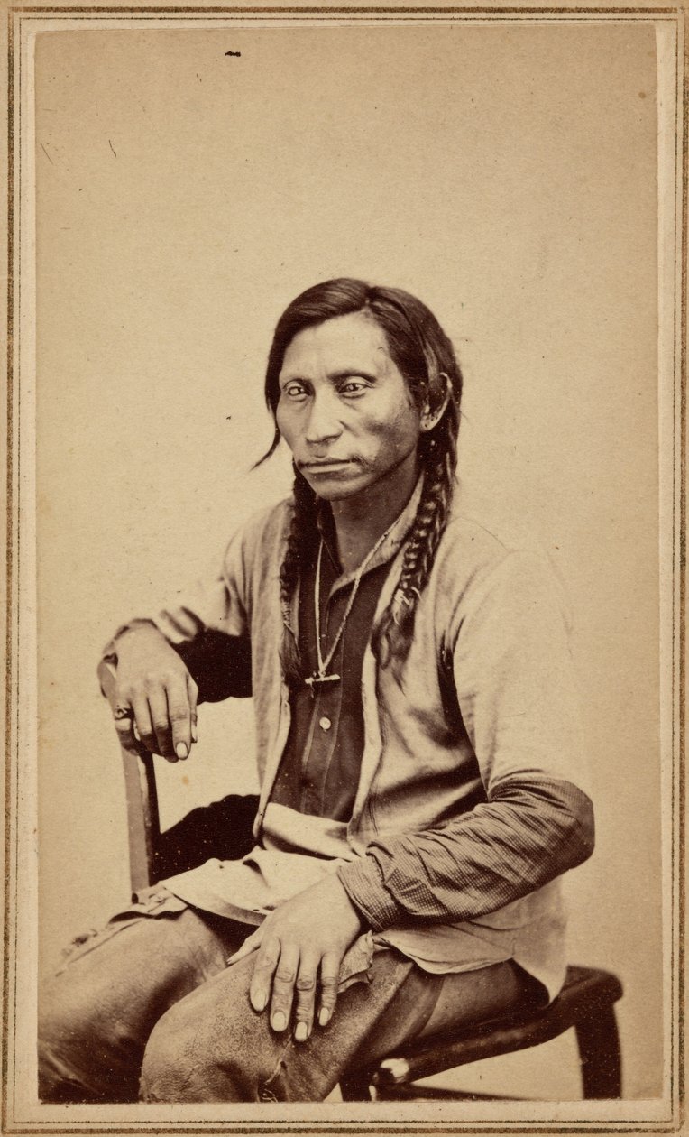 Szürke farkas,1860-as évek (fotó) alkotó: William Gunnison Chamberlain