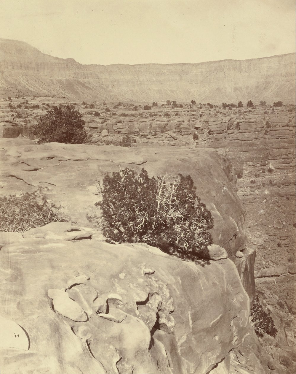 Fennsík, a Grand Canyontól északra alkotó: William H. Bell
