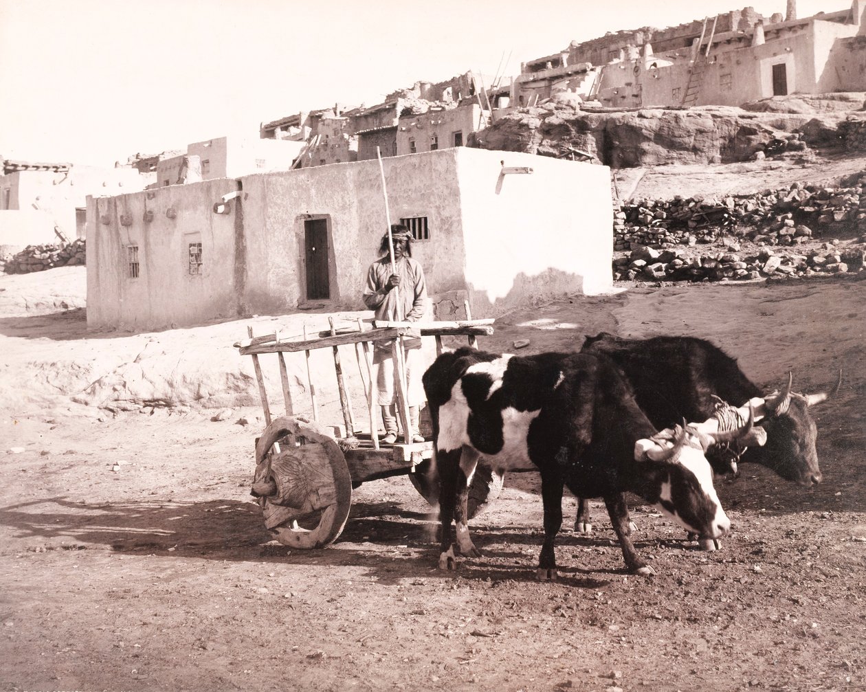 A régi Carreta, Laguna, Új-Mexikó alkotó: William H. Jackson