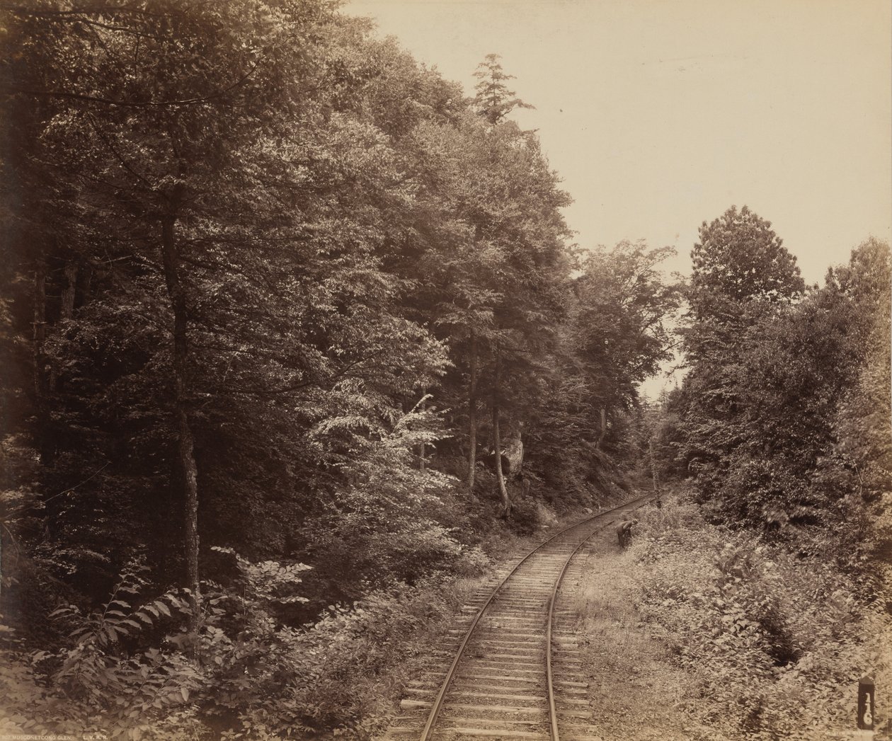 Musconetcong Glen alkotó: William H. Rau