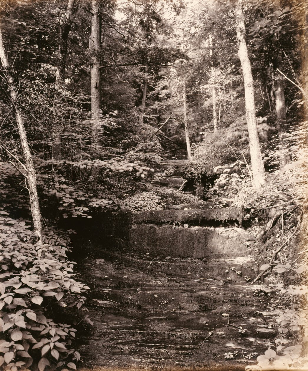 Owasco Lake, Cascade Glen, a Lehigh Valley Railroad számára alkotó: William H. Rau
