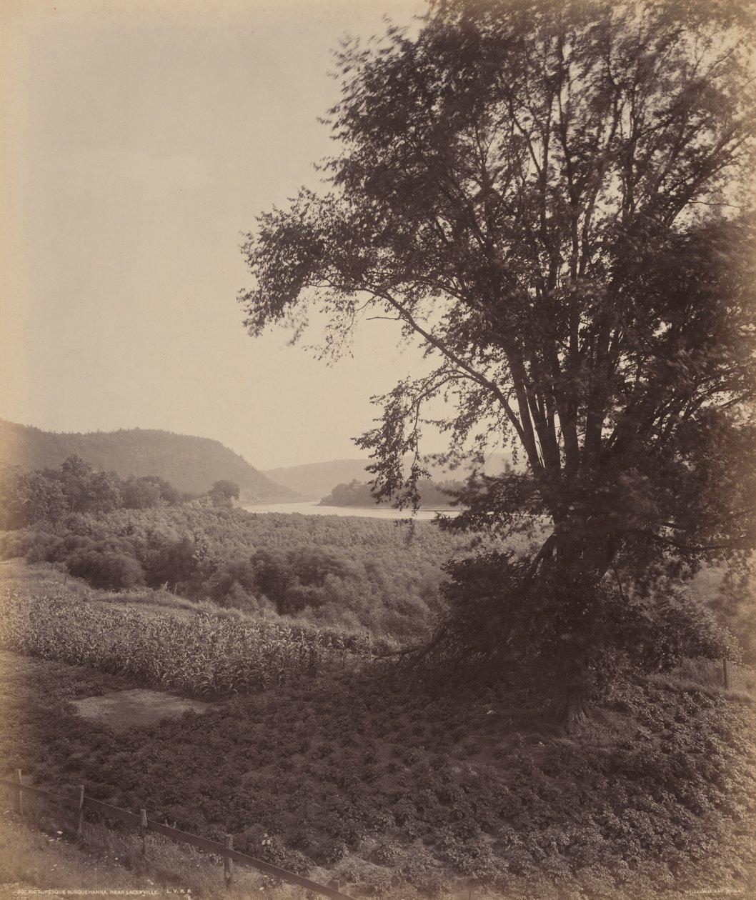 Festői Susquehanna, Laceyville közelében alkotó: William H. Rau