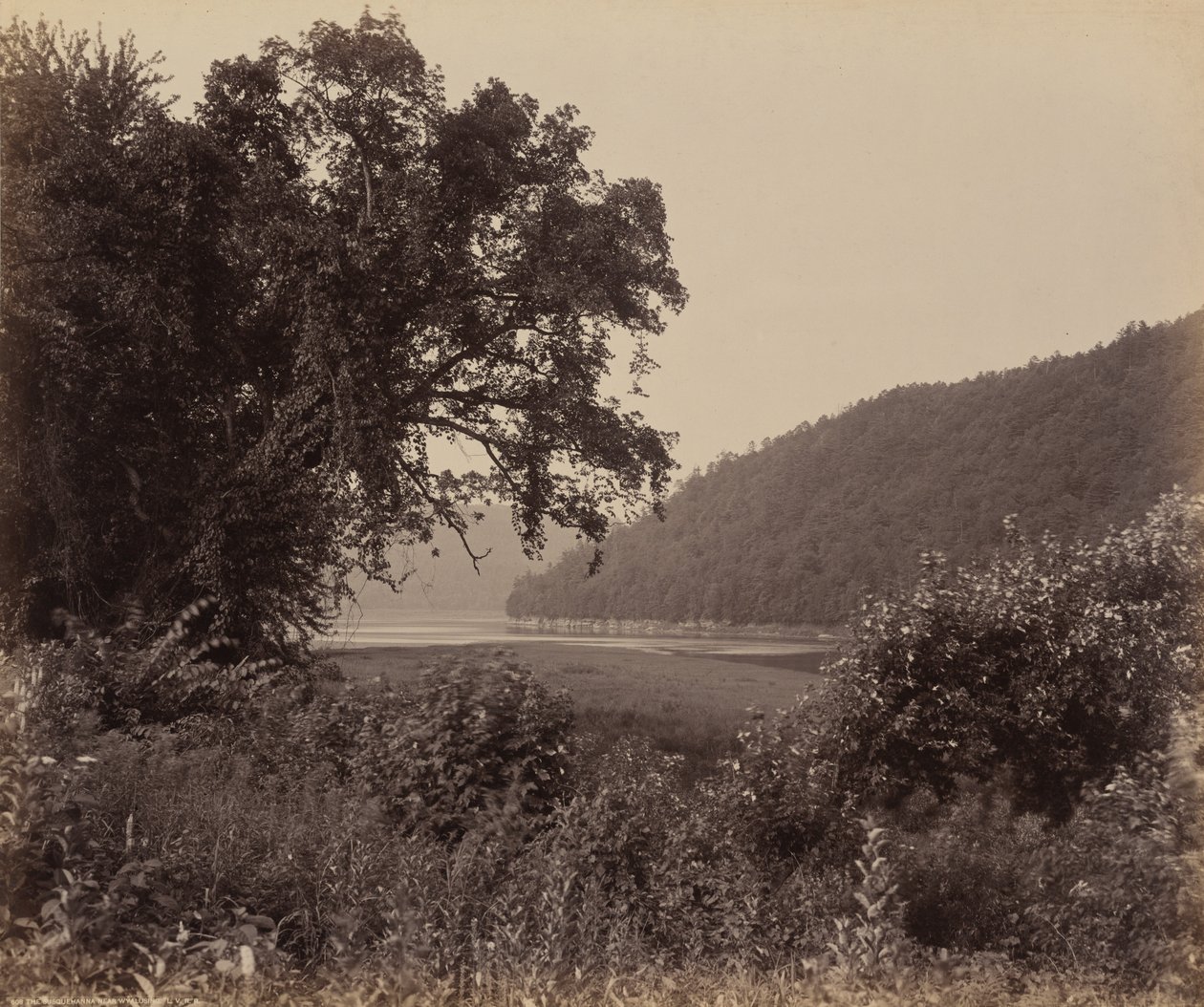 A Susquehanna Wyalusing közelében alkotó: William H. Rau