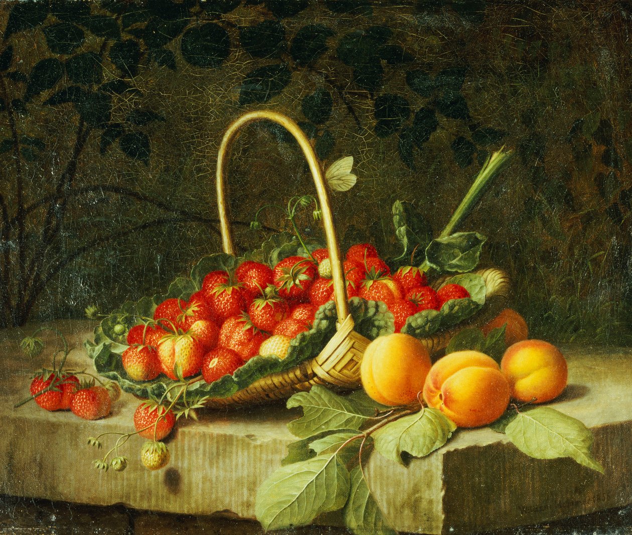 Egy kosár eper őszibarackkal egy kőpárkányon, 1856 alkotó: William Hammer