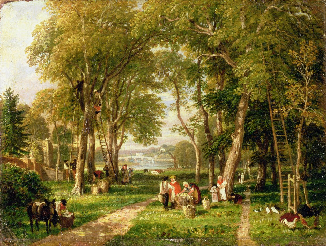 Walnut Gathering Petershamben, a Richmond Bridge közelében alkotó: William Havell