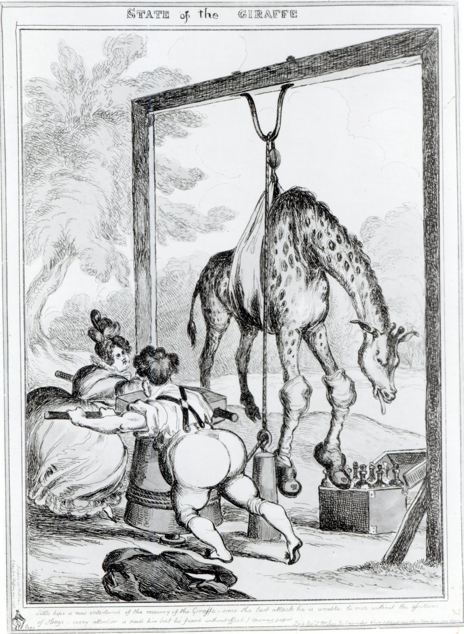 A zsiráf állapota, 1829 alkotó: William Heath