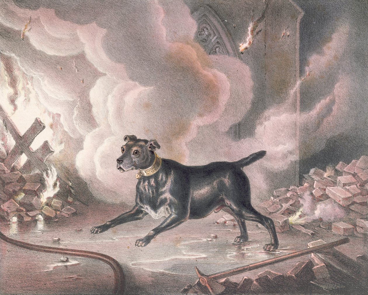 A londoni tűzoltó kutyája alkotó: William Heath