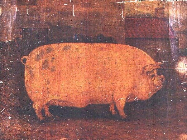 A díj Pig Jumbo II alkotó: William Henderson